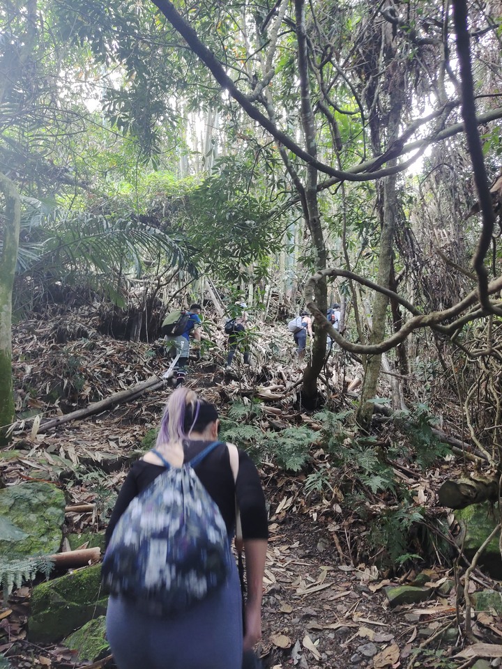 十九人的水雲三星之鳥嘴山(上島山)雲海白牆之旅