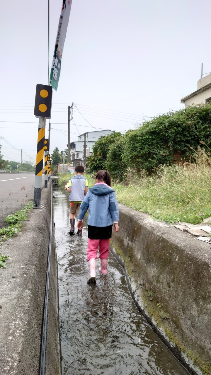 安安爸的沒拖車日記-青葉部落高樹田野樂