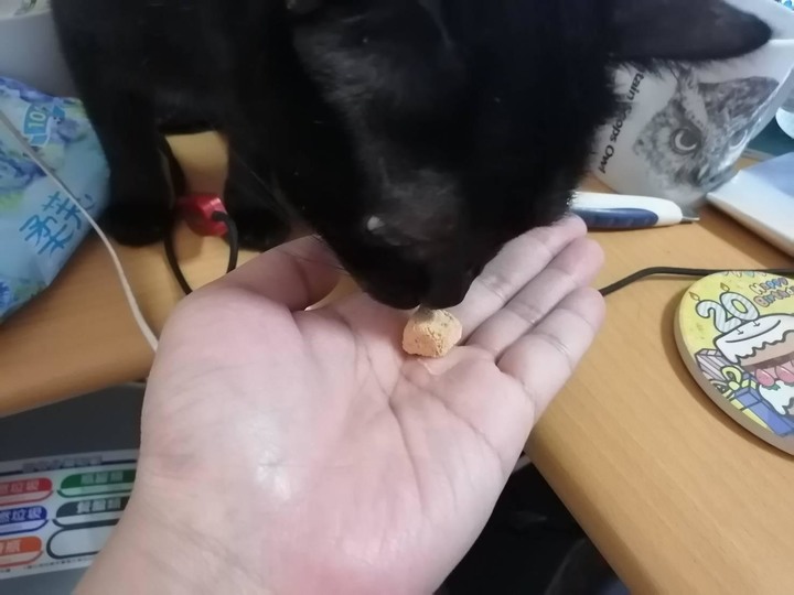 豹好餵&瑞威凍乾保健品試吃心得