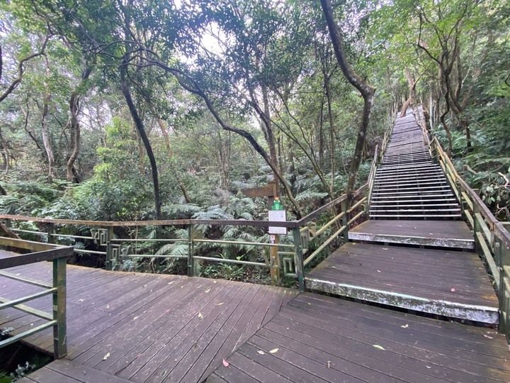台北內湖｜大崙頭山．公車可以抵達的小百岳，登頂360度零死角好視野