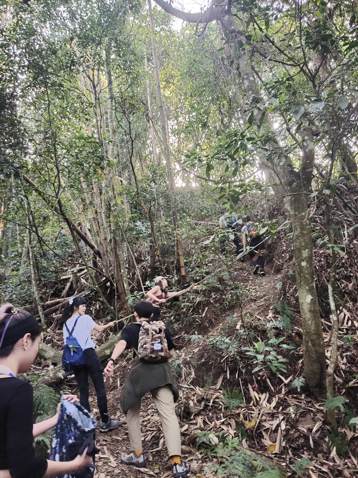 十九人的水雲三星之鳥嘴山(上島山)雲海白牆之旅