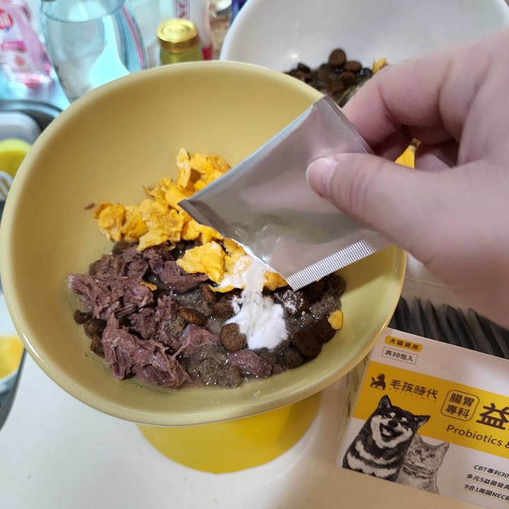 實際用後有感的毛孩時代腸胃益生菌