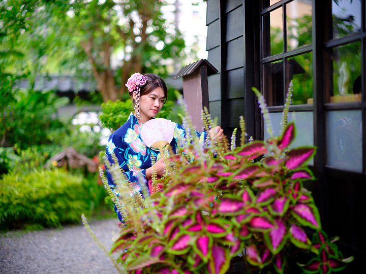 GFX50S2 Leica R 80/1.4 嘉義檜意森活村