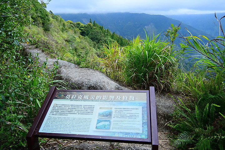 Nikon Z fc+DX 18-140mm屏東林管處藤枝森林遊樂區