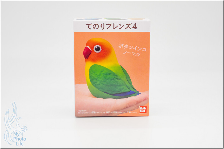 BANDAI萬代．小鳥盒玩特別彈II．開箱