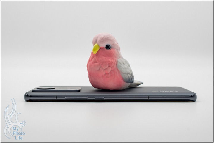 Xiaomi 小米 12 Pro 5G．預購禮簡單開箱