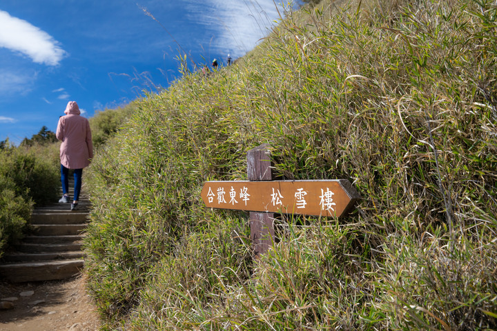 合歡東峰步道賞高山杜鵑 爬得好喘好累