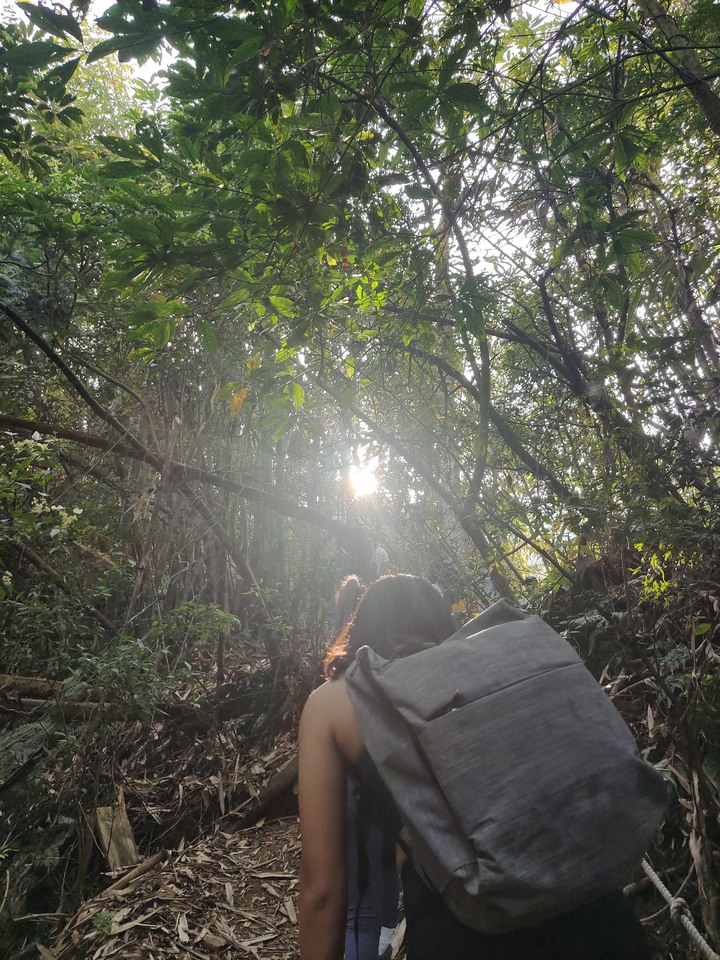 十九人的水雲三星之鳥嘴山(上島山)雲海白牆之旅
