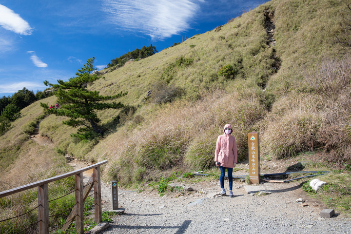 合歡東峰步道賞高山杜鵑 爬得好喘好累