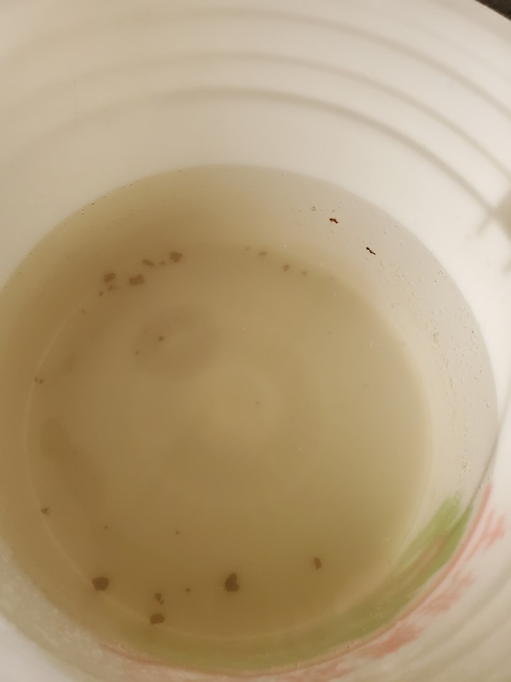 海爾前置過濾器+海爾抑垢器T5