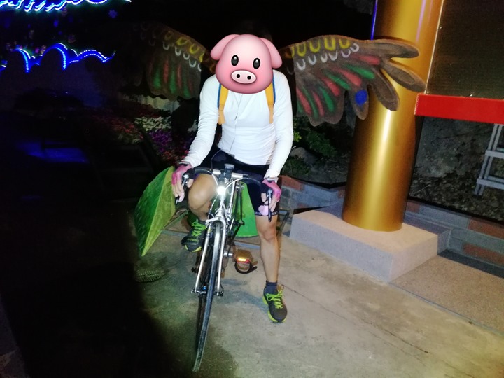 閒聊車褲樣式