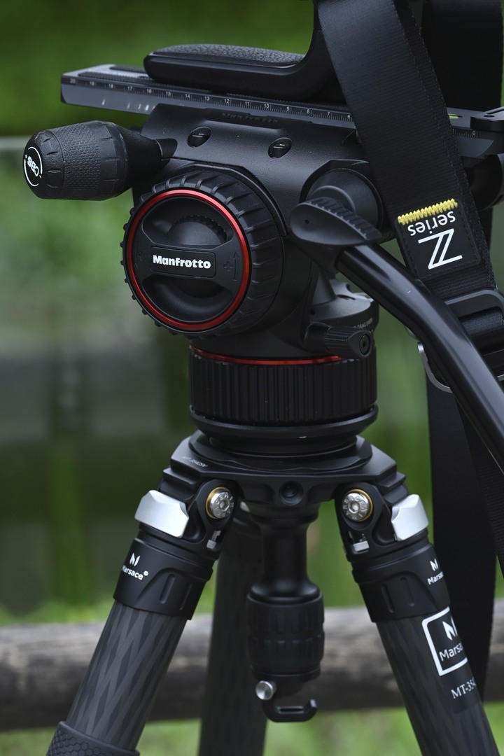 NIKON Z9 + NIKKOR Z 400MM F/2.8 TC VR S 一張「台積電」的滋味【WICKED RICKY一日體驗】