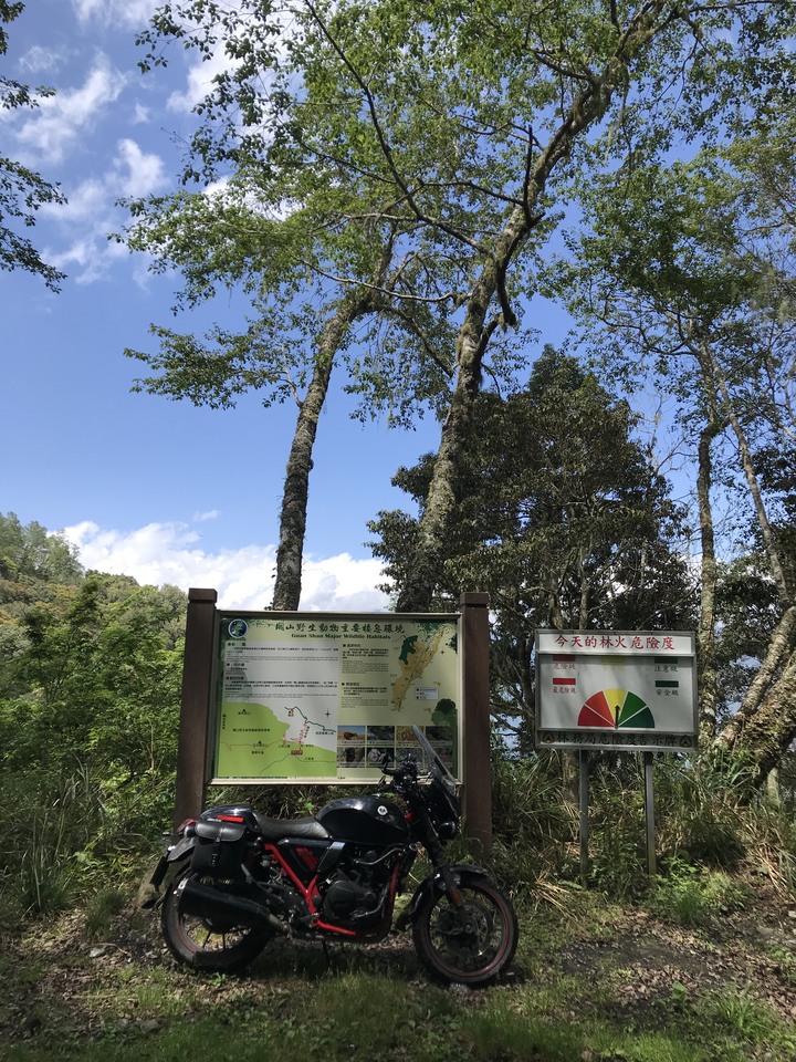 南橫霧鹿林道蠍子草咬人貓嫑嫑之旅 627 公里