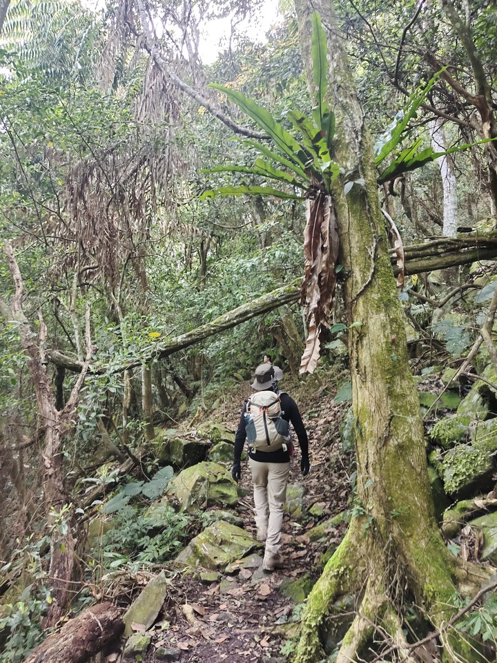 十九人的水雲三星之鳥嘴山(上島山)雲海白牆之旅