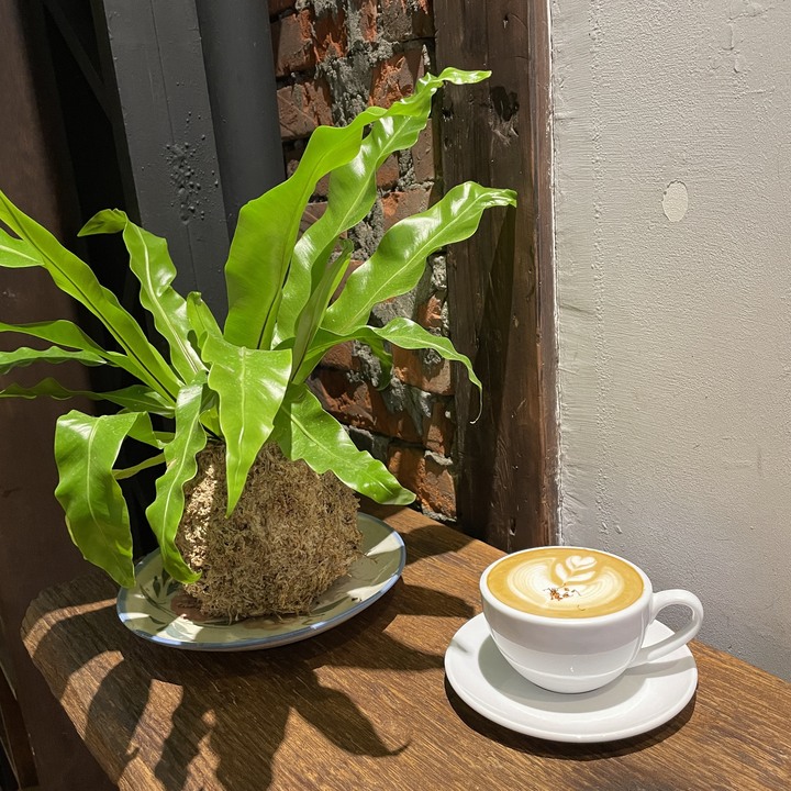 TOYOHARA COFFEE ROASTERS，豐原百年日式老宅咖啡館～