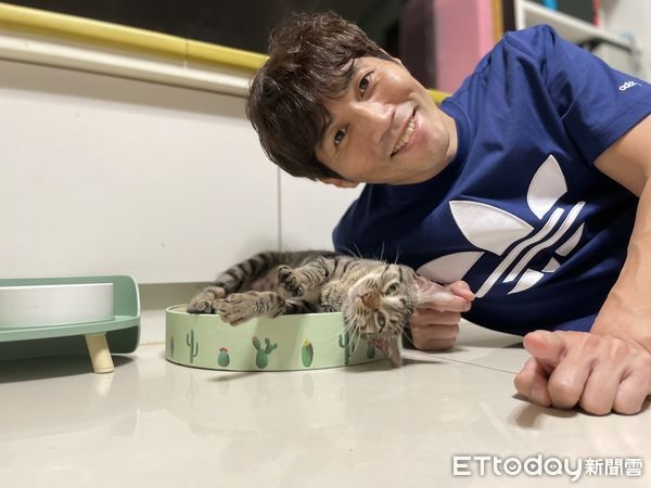 被賀歲片煞到!他指定認養虎斑貓「憨吉」親手做貓跳台迎接毛孩