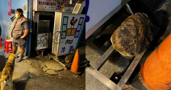 三花浪貓躲招牌下!他「手刀買罐罐」走近傻了網笑:等到變化石
