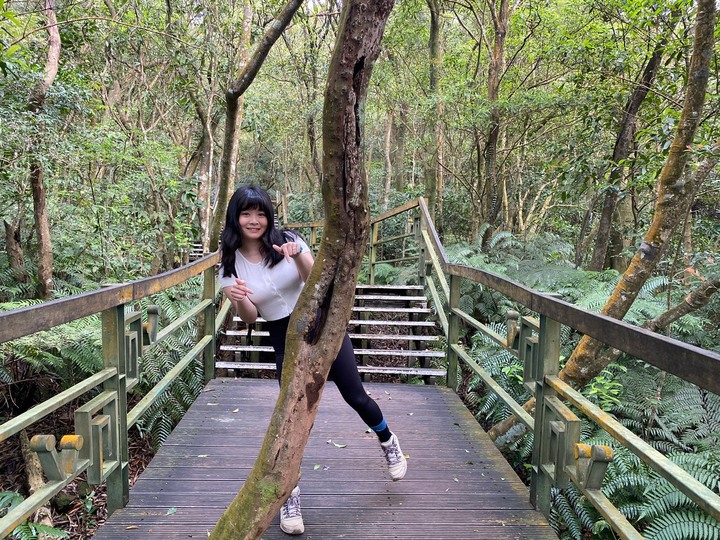 台北內湖｜大崙頭山．公車可以抵達的小百岳，登頂360度零死角好視野