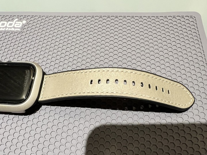 [分享文] SwitchEasy 美國魚骨牌 Odyssey 航太鋁合金保護殼 for Apple Watch