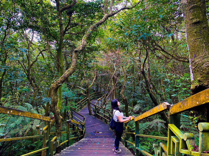 台北內湖｜大崙頭山．公車可以抵達的小百岳，登頂360度零死角好視野