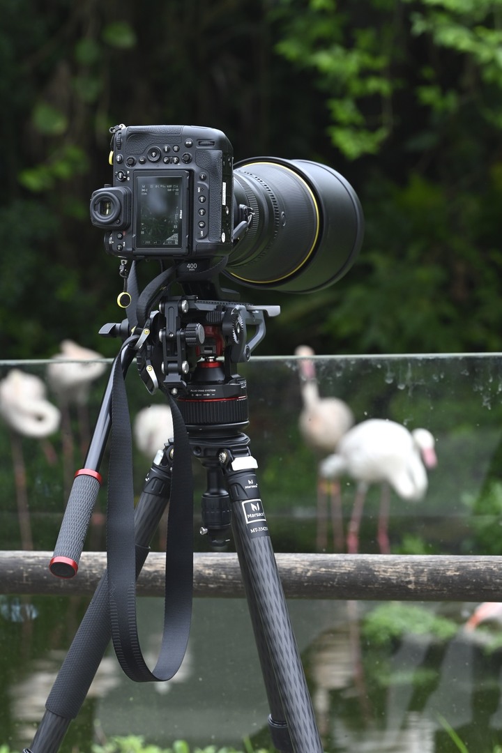 NIKON Z9 + NIKKOR Z 400MM F/2.8 TC VR S 一張「台積電」的滋味【WICKED RICKY一日體驗】