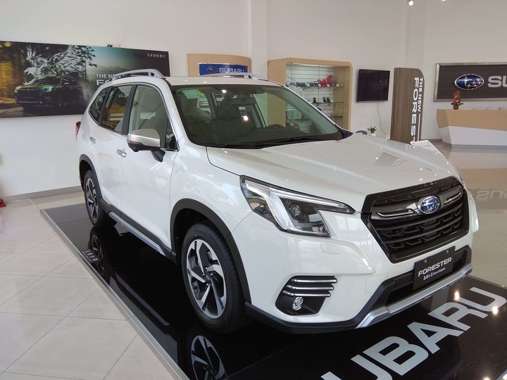 SUBARU The New FORESTER 試乘體驗心得(著重照片與體會)