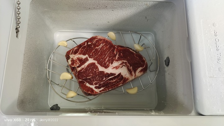 車用行動冰箱DIY乾熟成牛肉 (家用冰箱 vs 車用冰箱)條件分析