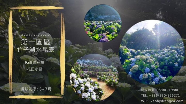 網美必訪人氣打卡景點!北台灣最大的繡球花園即將開園!