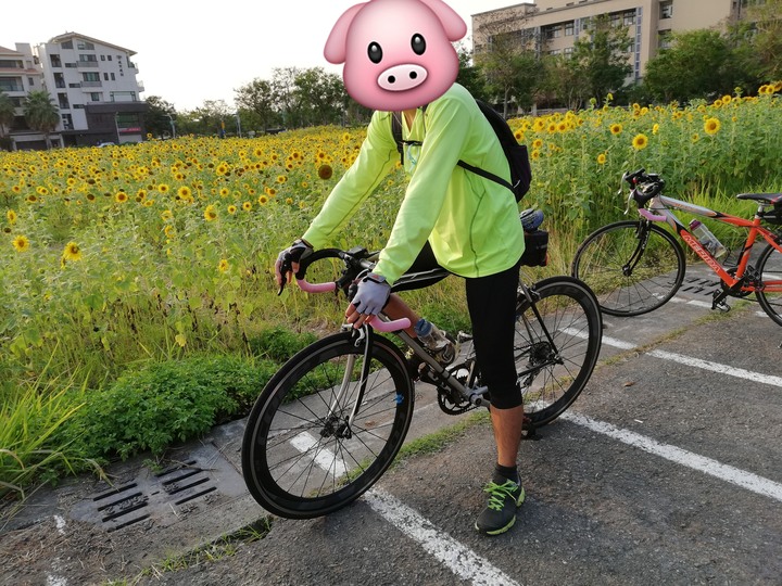 閒聊車褲樣式