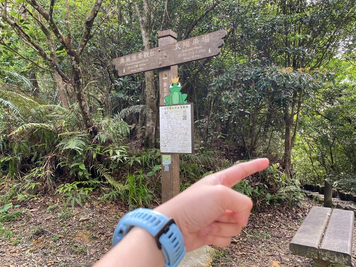 台北內湖｜大崙頭山．公車可以抵達的小百岳，登頂360度零死角好視野