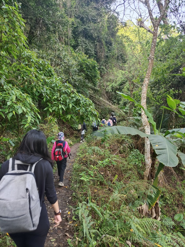 十九人的水雲三星之鳥嘴山(上島山)雲海白牆之旅