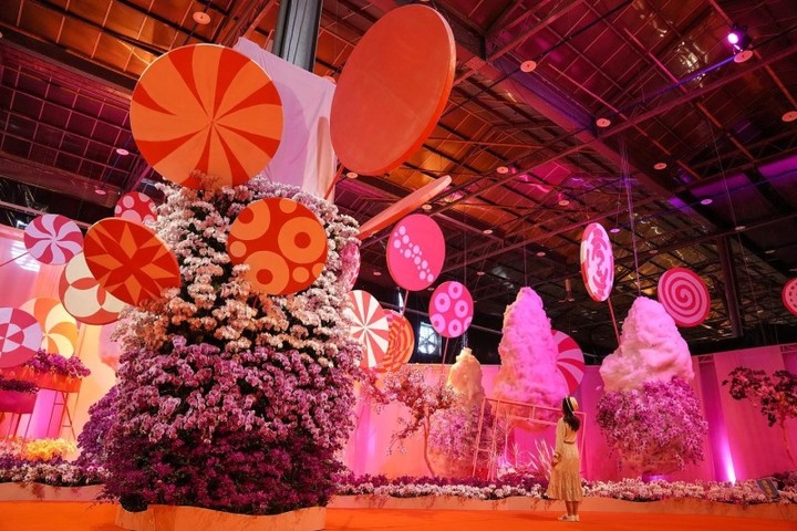清明連假好去處!「2022台灣國際蘭展」打造蘭花的奇幻世界