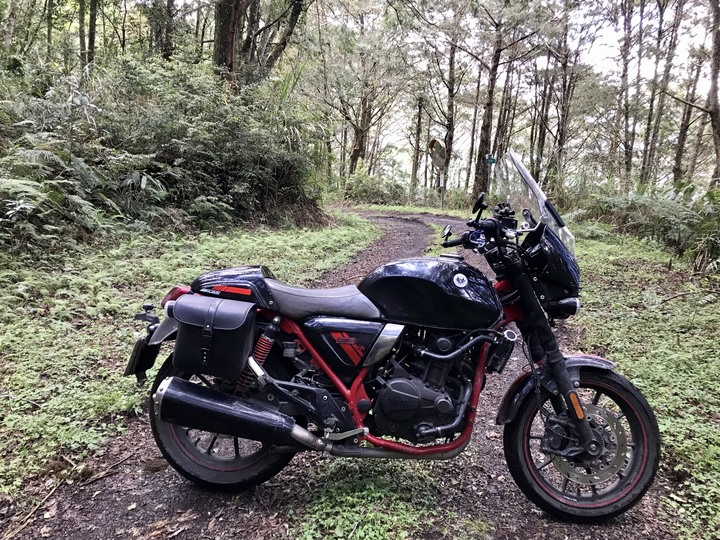 南橫霧鹿林道蠍子草咬人貓嫑嫑之旅 627 公里