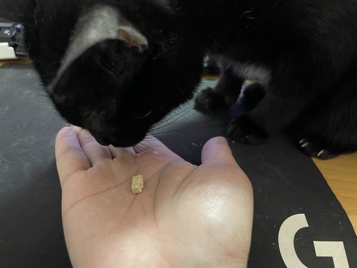 豹好餵&瑞威凍乾保健品試吃心得