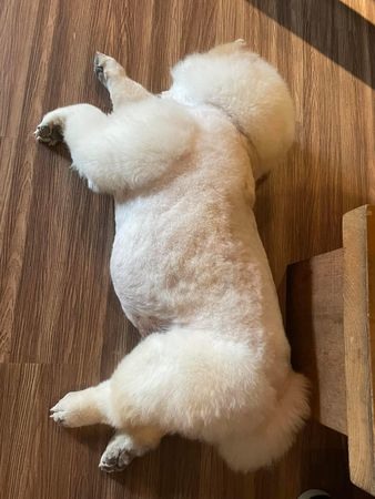 「大條糯米腸」佔滿診療台！看到體重落寞低頭：沒臉見人了...