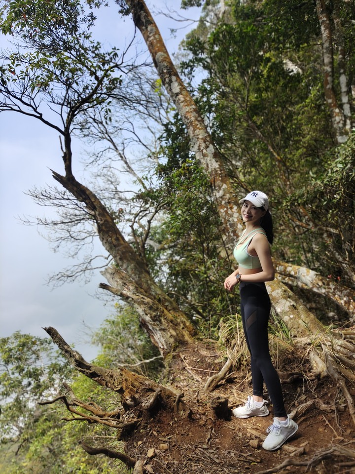 十九人的水雲三星之鳥嘴山(上島山)雲海白牆之旅