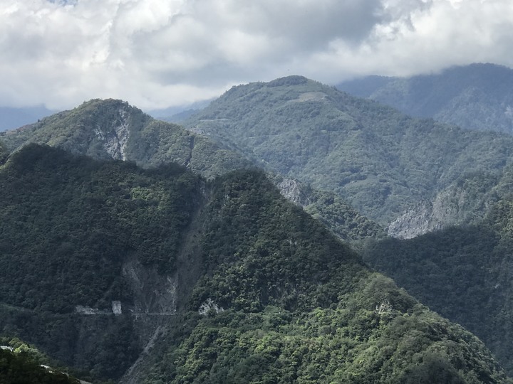 南橫霧鹿林道蠍子草咬人貓嫑嫑之旅 627 公里