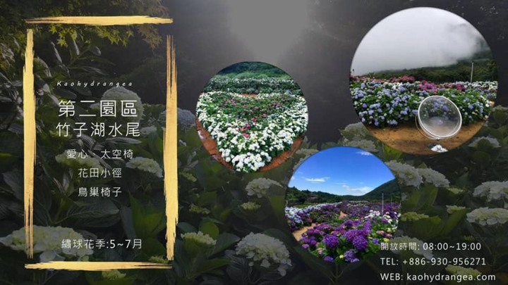 網美必訪人氣打卡景點!北台灣最大的繡球花園即將開園!