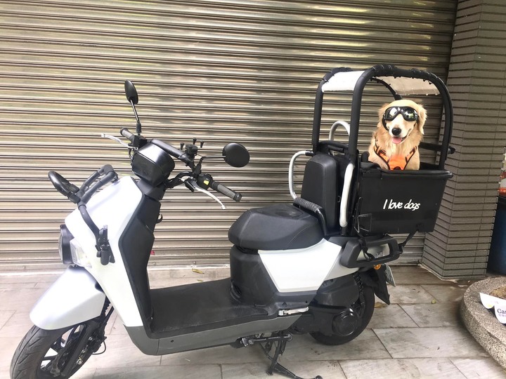 為了愛犬做了兩個箱子
