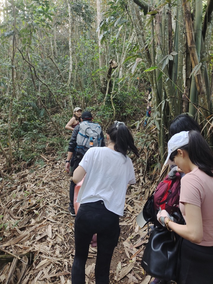 十九人的水雲三星之鳥嘴山(上島山)雲海白牆之旅