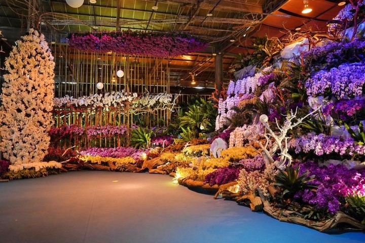 清明連假好去處!「2022台灣國際蘭展」打造蘭花的奇幻世界