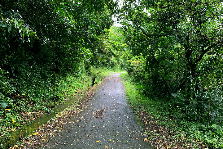 宜蘭頭城|草嶺古道.大里入口|180度蔚藍龜山島海景