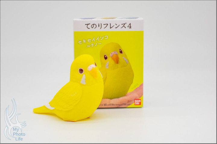 BANDAI萬代．小鳥盒玩特別彈II．開箱