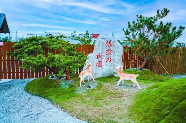 花蓮「偽出國」新景點!來與梅花鹿親密互動、免費租借和服