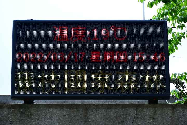 Nikon Z fc+DX 18-140mm屏東林管處藤枝森林遊樂區