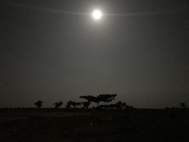 鄒仔春遊一日環島－－炸寒單和時速 67 吞罰單