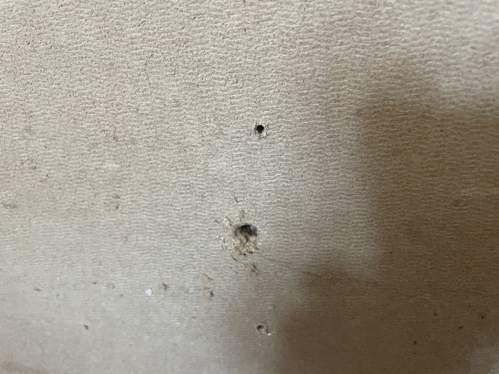 請問這個材質是石棉嗎，家中的老天花板