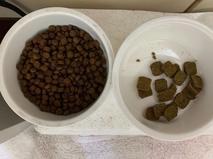 挑嘴老狗近期賞臉的赫緻經典鮮肉糧