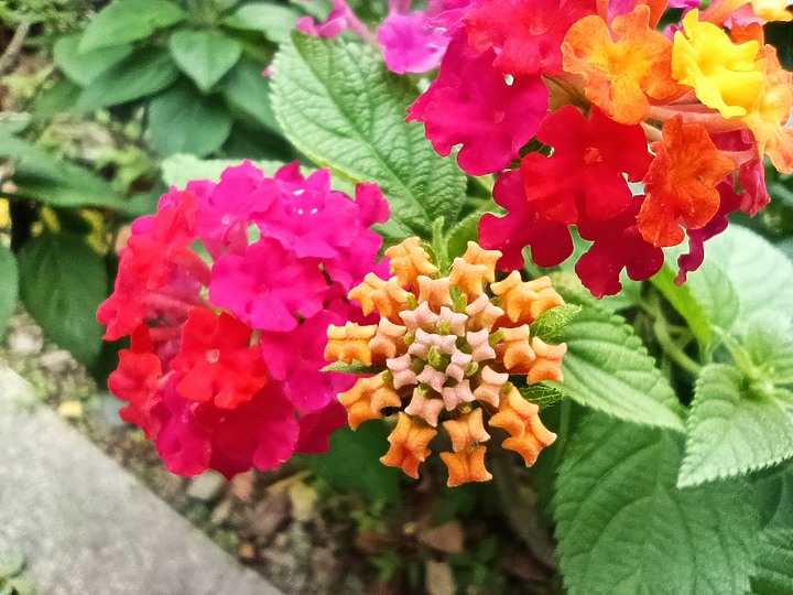 紅米Note 11 Pro+ 5G小試用 系列作裡最高規 比平均再加分一些