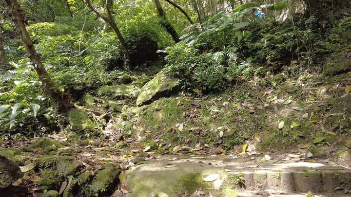 [樂山童盟] [新北平溪] 中央尖-臭頭山-東勢格越嶺步道